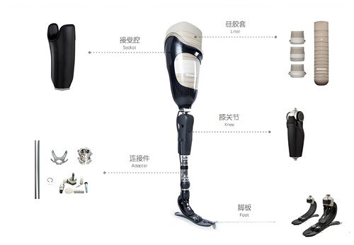 下肢假肢結(jié)構(gòu)圖解